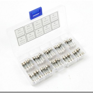 Cầu chì thủy tinh loại bé 0.5 A/250 v( Hàng tồn kho)