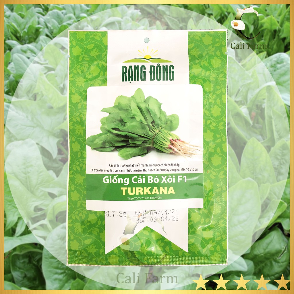 Hạt giống Cải Bó Xôi TURKANA 5gr (Rau chân Vịt, Bina)