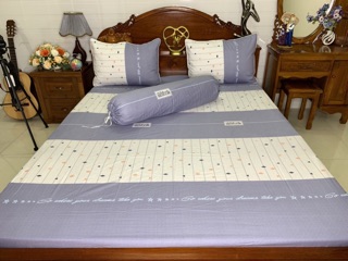 Drap cotton hàn quốc