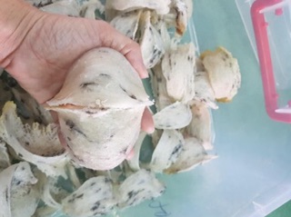 [FREESHIP 99K TOÀN QUỐC] 10gram Yến thô
