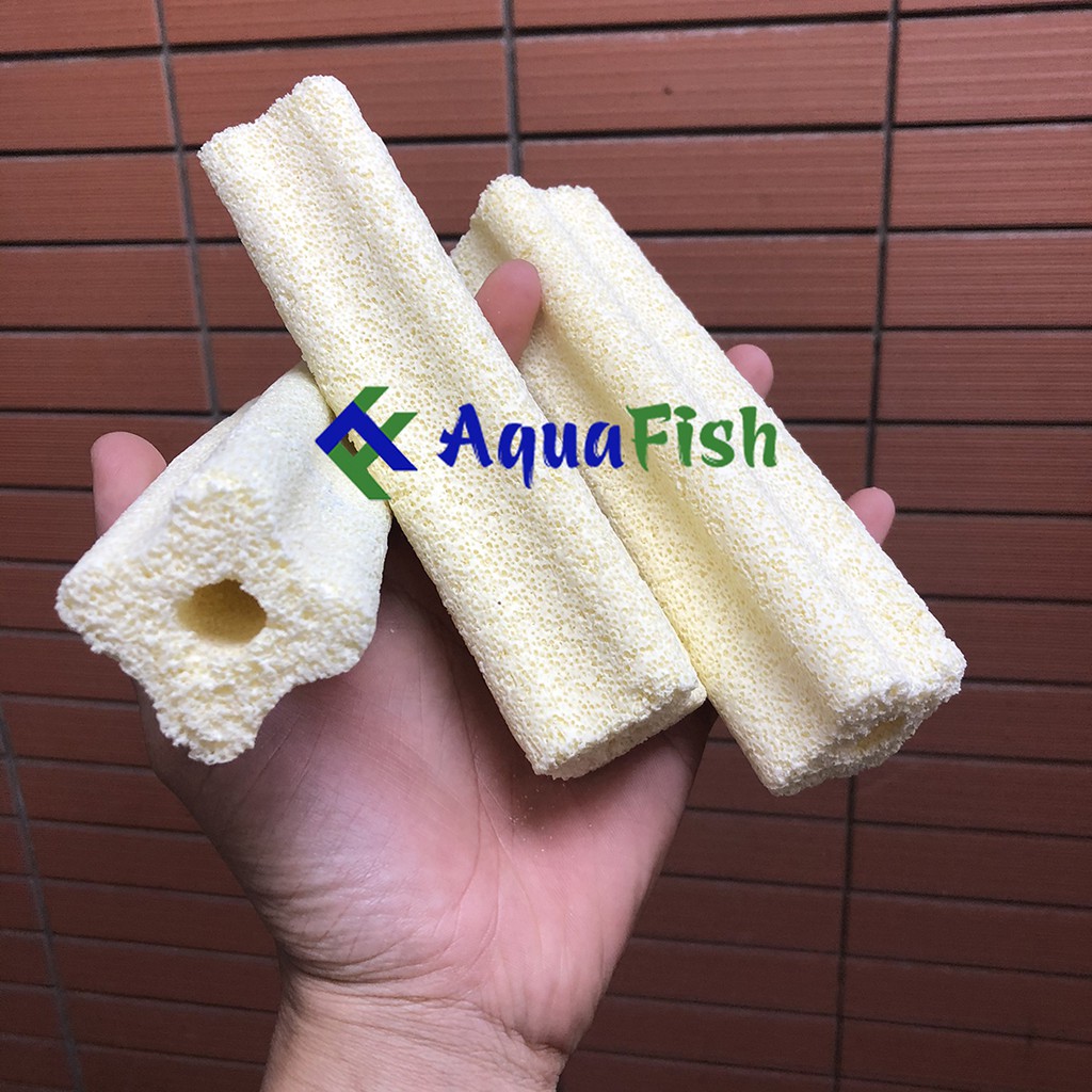 Combo 10 Sứ Thanh Hoa Mai (vật liệu lọc nước hồ cá)