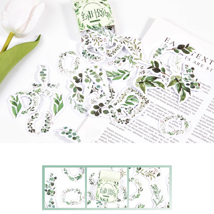 Hộp 46 miếng sticker mẫu vòng lá cây xanh