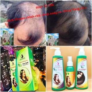 Phân loại Combo Tinh dầu bưởi NGÂN BÌNH, Dầu gội hoa bưởi, Dầu xả hương bưởi Kích thích mọc tóc, Ngăn rụng tóc