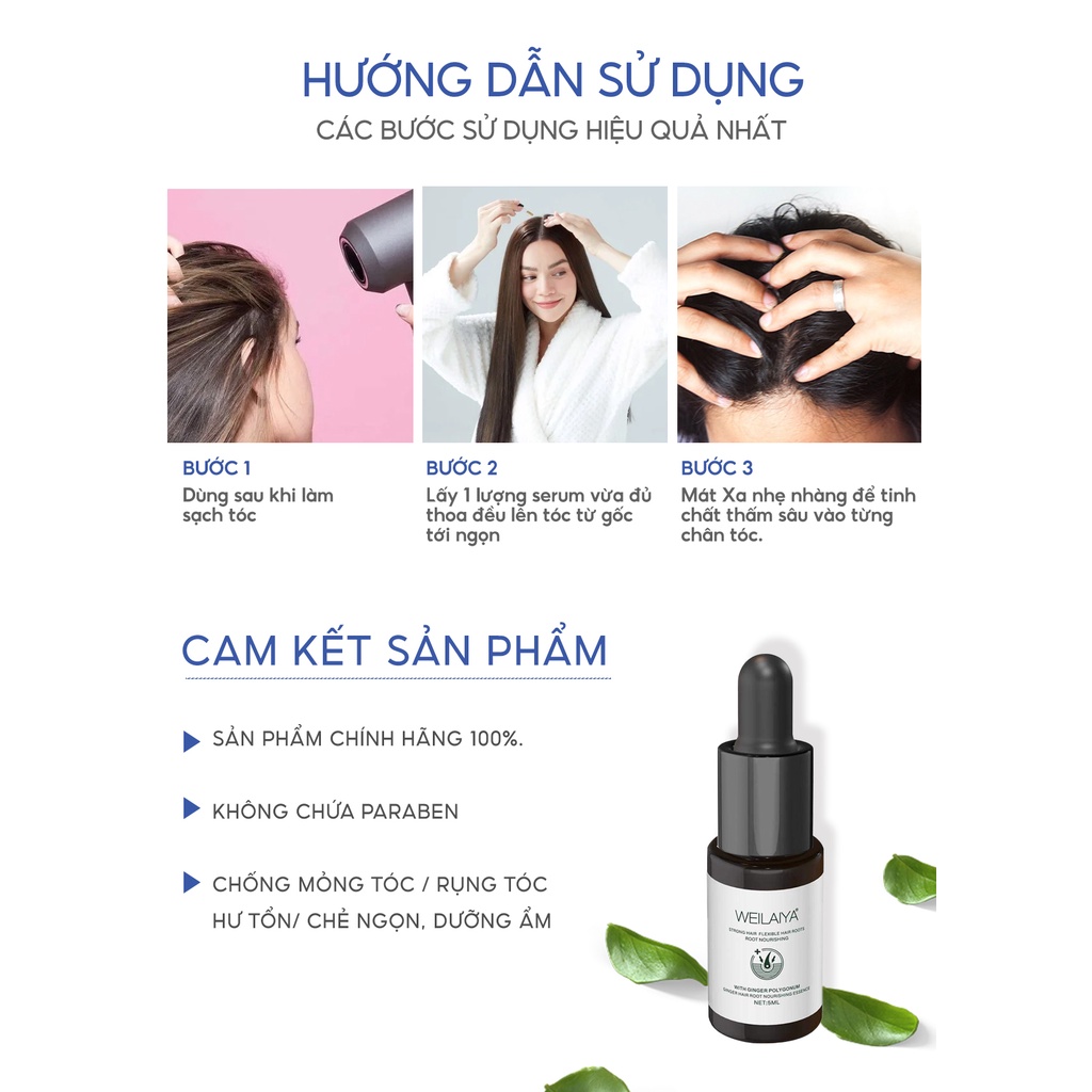 Huyết thanh WEILAIYA GINGER HAIR ROOT NOURISHING ESSENCE chống rụng kích mọc tóc set 8 lọ x 5ml