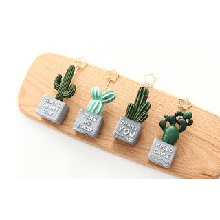 MINI CACTUS - CHẬU XƯƠNG RỒNG TRANG TRÍ MINI