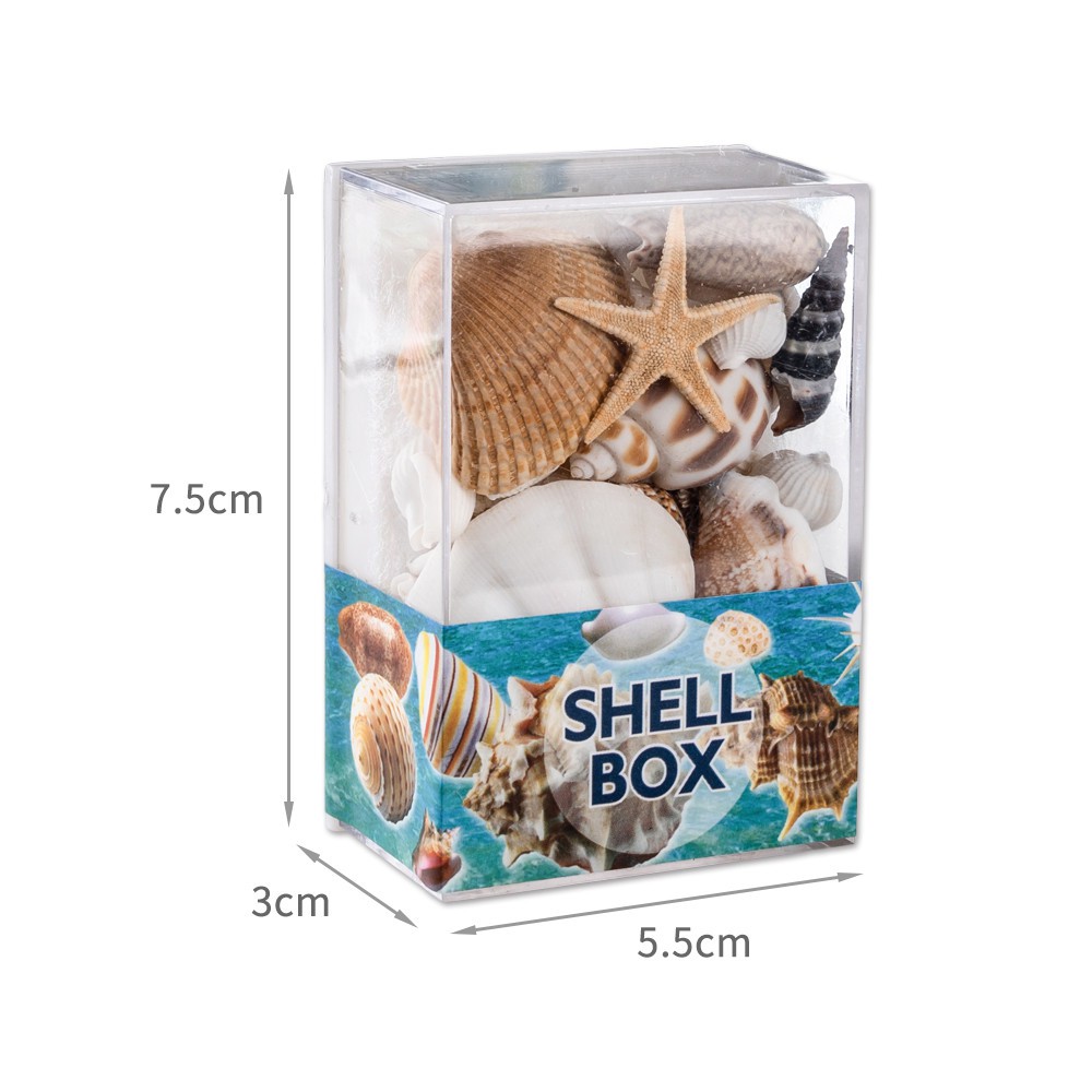 1 Hộp Bọt Biển Tự Nhiên Hình Vỏ Sò / Sao Biển Dùng Trang Trí Nhà Cửa