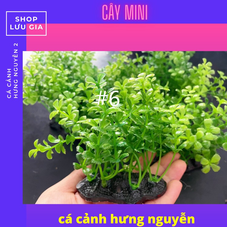 Cây cỏ nhựa size mini và to dùng trang trí hồ cá nhỏ [ ĐỦ MÀU ] | Phụ kiện cây nhựa trang trí bể cá cảnh | Lưu gia decor