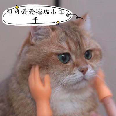【COD】Đồ chơi bàn tay tí hon giả đeo ngón tay bằng silicon hài hước dùng để chơi với mèo cưng~666~