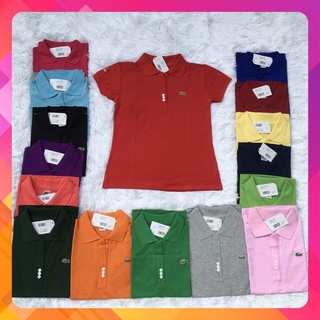 ❤ Áo thun nữ cá sấu thun 4 chiều (hình thật 100%)
