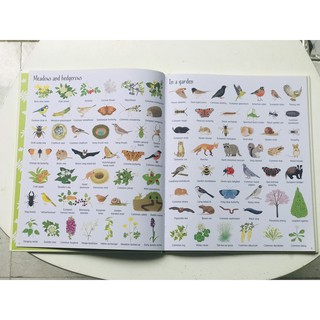 Sách - 1000 Things In Nature