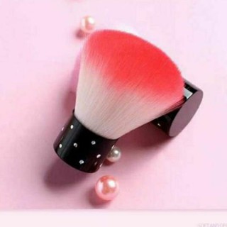 Chổi Phủi Bụi