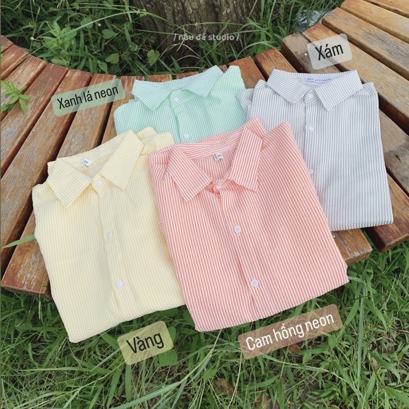 Áo sơmi kẻ thô xốp 4 màu mới tươi mát năng động (Ảnh thật/Video)