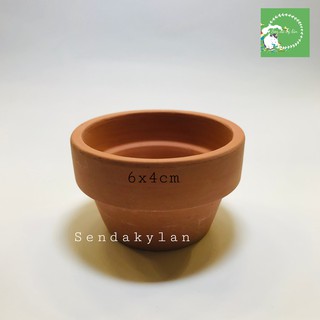 FREESHIP Terrarium 🍀Sen đá 🍀Chậu đất nung mini