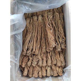 Sâm Đương Quy - 100gr