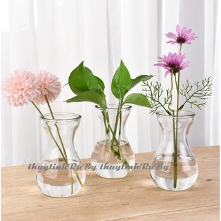 Combo 3 Bình Bông Lọ Hoa Thủy Tinh LOE, Lọ Trồng Cây Tiên Ông, Chậu Cây Thủy sinh