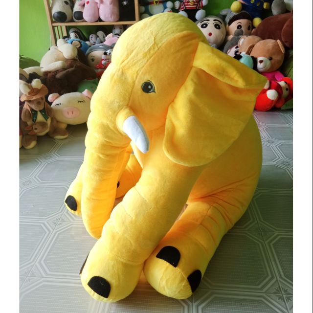 Voi vàng siêu đẹp