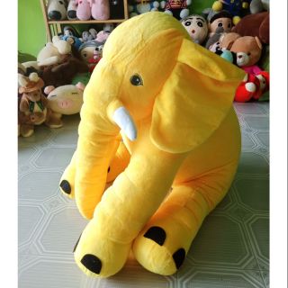 Voi vàng siêu đẹp