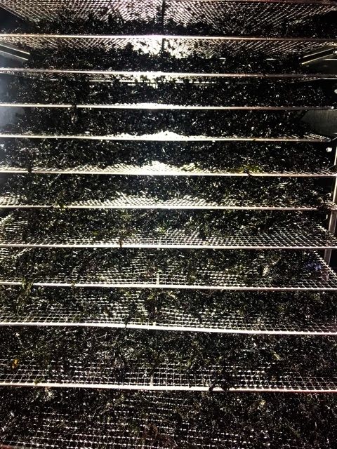 250g rong biển cháy tỏi keto Túi chân không