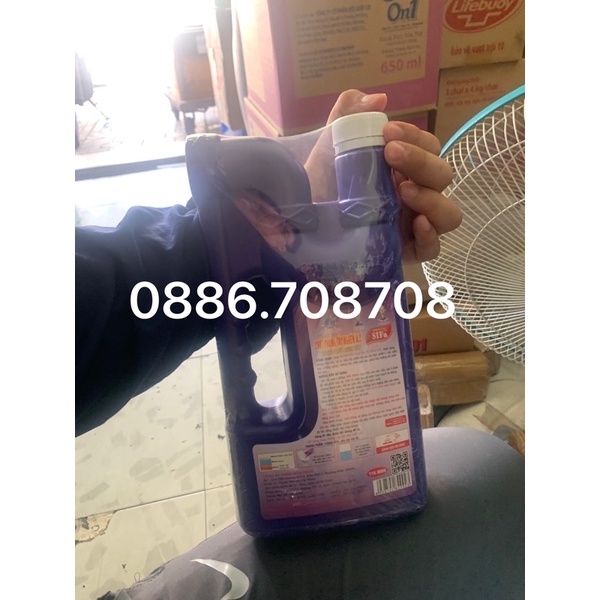 Sifa thông cầu 1600g