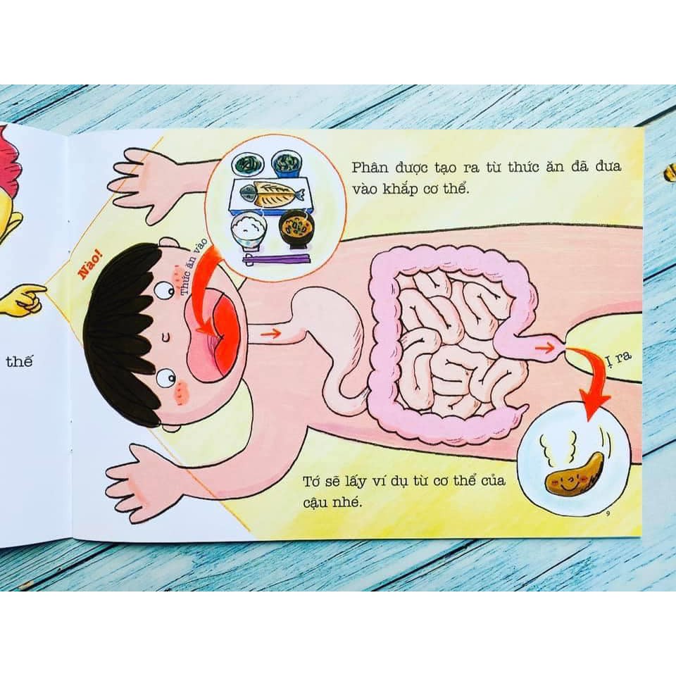 Combo Sách Ehon Sự Kỳ Diệu Của Cơ Thể ( Ehon kỹ năng sống Bộ 6 cuốn)
