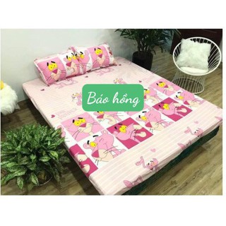 Ga trải giường bọc đệm cotton poly 1m2,1m6