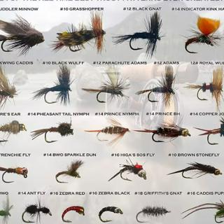 Shop mồi fly câu mương