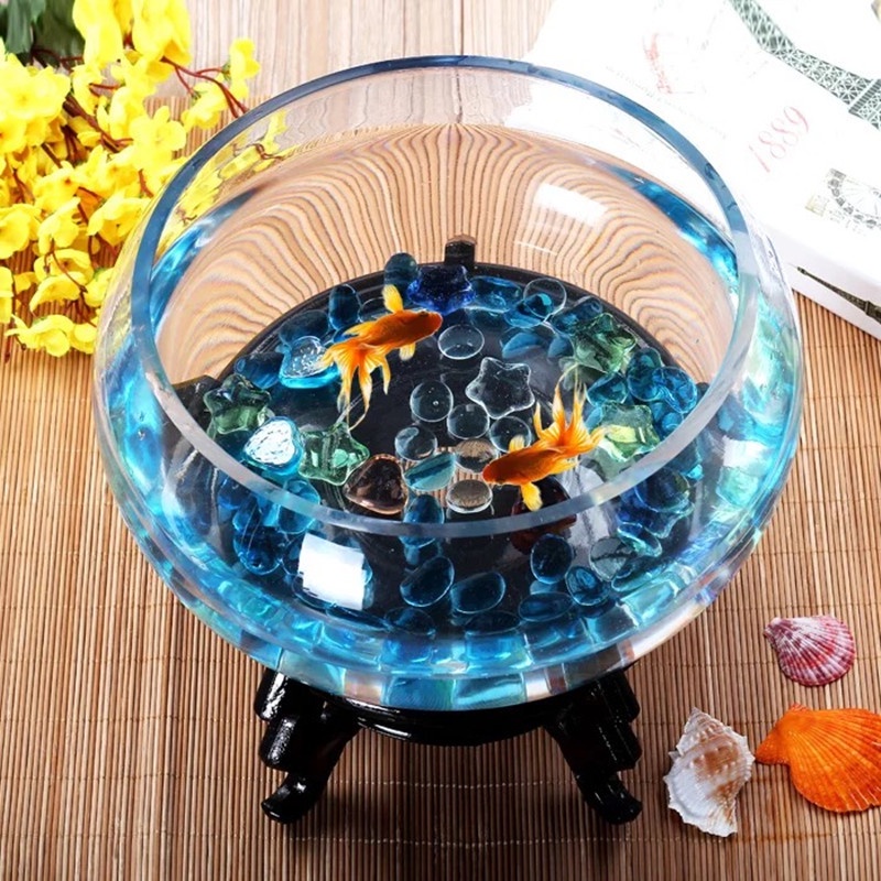 Chậu thủy tinh tròn thấp đường kính 20 - 25 cm nuôi cá cảnh nhỏ, có bán đế đen, trồng cây thủy sinh, mix tiểu cảnh
