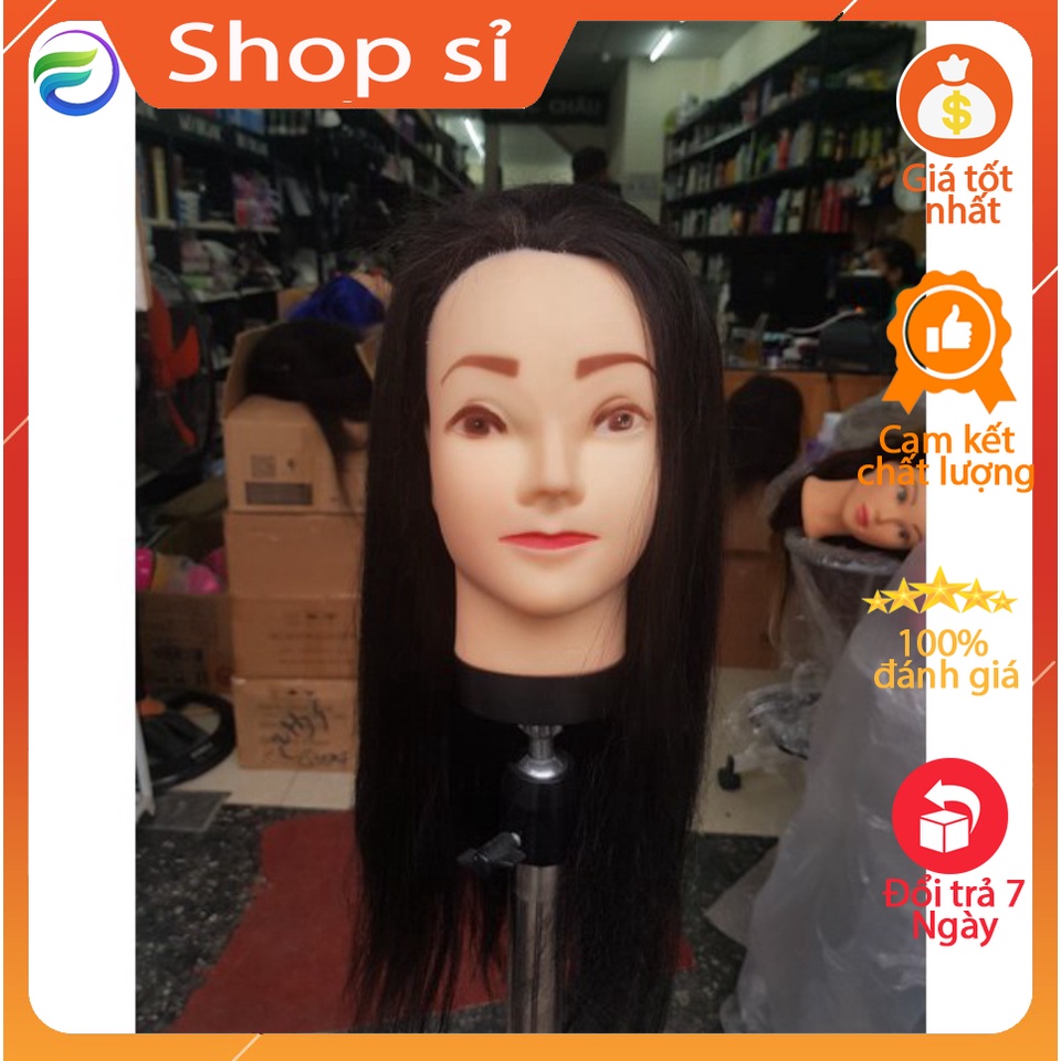 Đầu canh học cắt rẻ/Đầu canh tập cắt/Đầu canh giá rẻ/Đầu manocanh