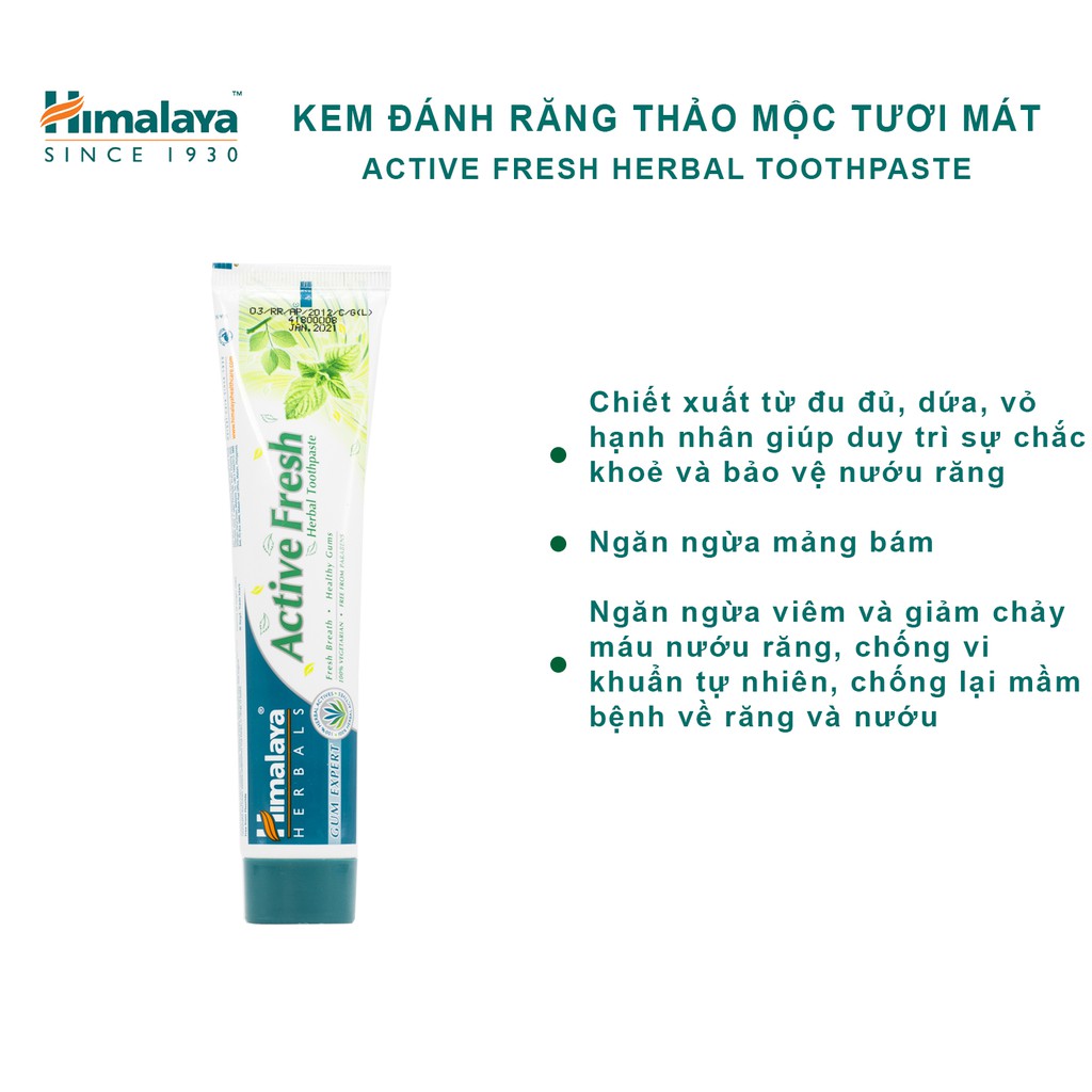 Kem đánh răng Himalaya Active Fresh Herbal Toothpaste bảo vệ nướu giúp hơi thở thơm mát 100g