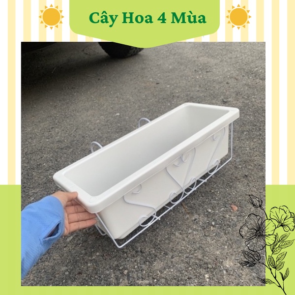 COMBO 2Giá sắt KÈM CHẬU SIZE 60 HOẶC 67CM treo ban công đựng chậu trồng rau hình chữ nhật
