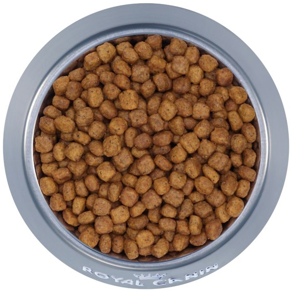 Royal Canin Indoor 27 - Thức ăn cho mèo (2kg)