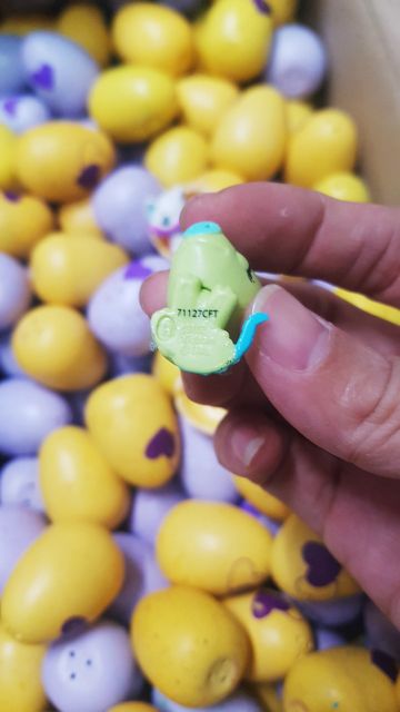 TRỨNG HATCHIMALS 🥚🥚🥚CÁC MÙA