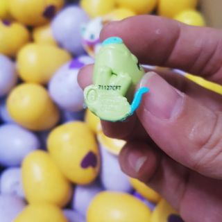 TRỨNG HATCHIMALS 🥚🥚🥚CÁC MÙA