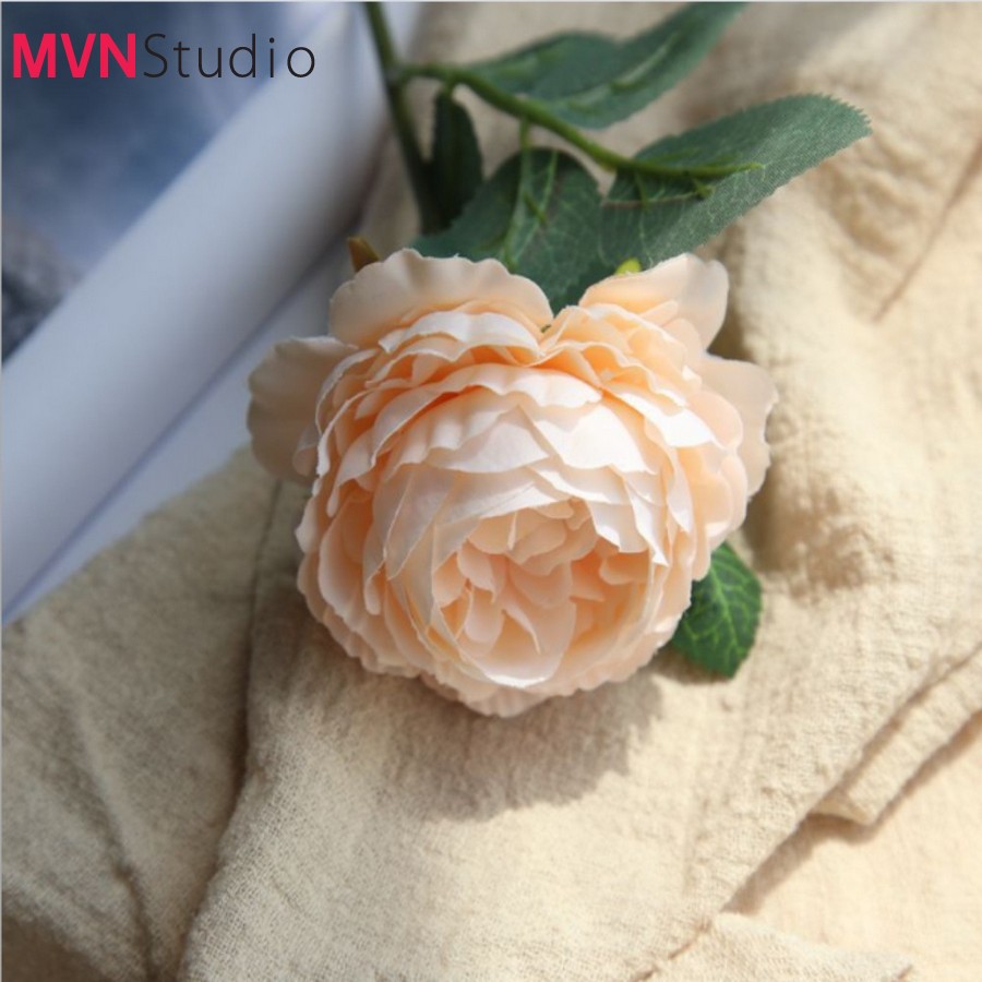 MVN Studio - Ins hoa mẫu đơn phụ kiện decor chụp ảnh trang trí nhà cửa