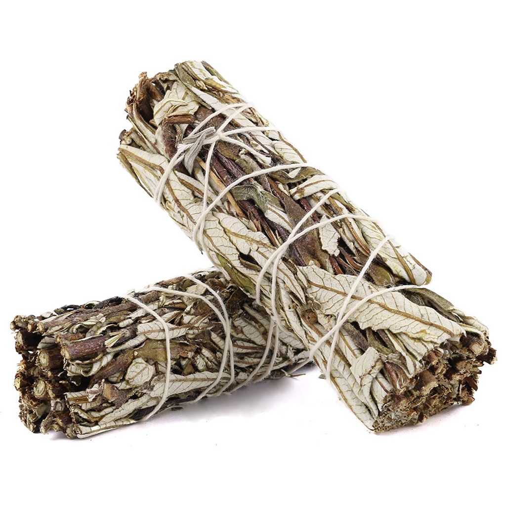 Thánh Thảo - Yerba Santa (Bó 10 -12 cm) (Mystic House Tarot Shop) - Sản Phẩm Authentic Chính Hãng 100%