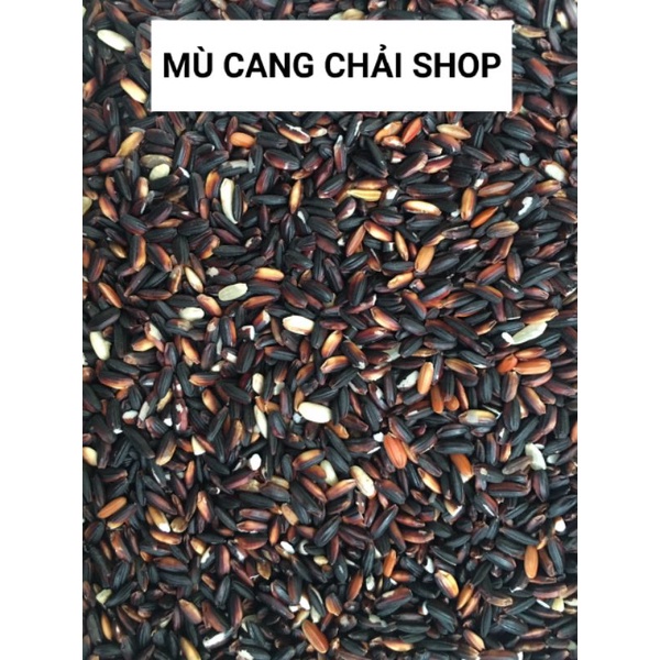 Hạt giống lúa nếp cẩm nương túi 500g