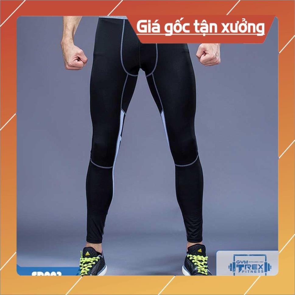 Quần legging nam Pro combat ôm body SP003, Quần bó nam giữ nhiệt [Gym T-Rex]