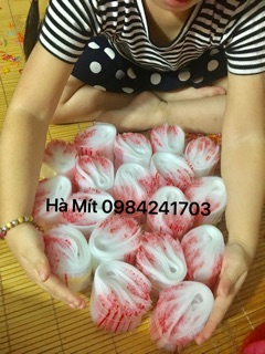 100c túi zip đựng vòng