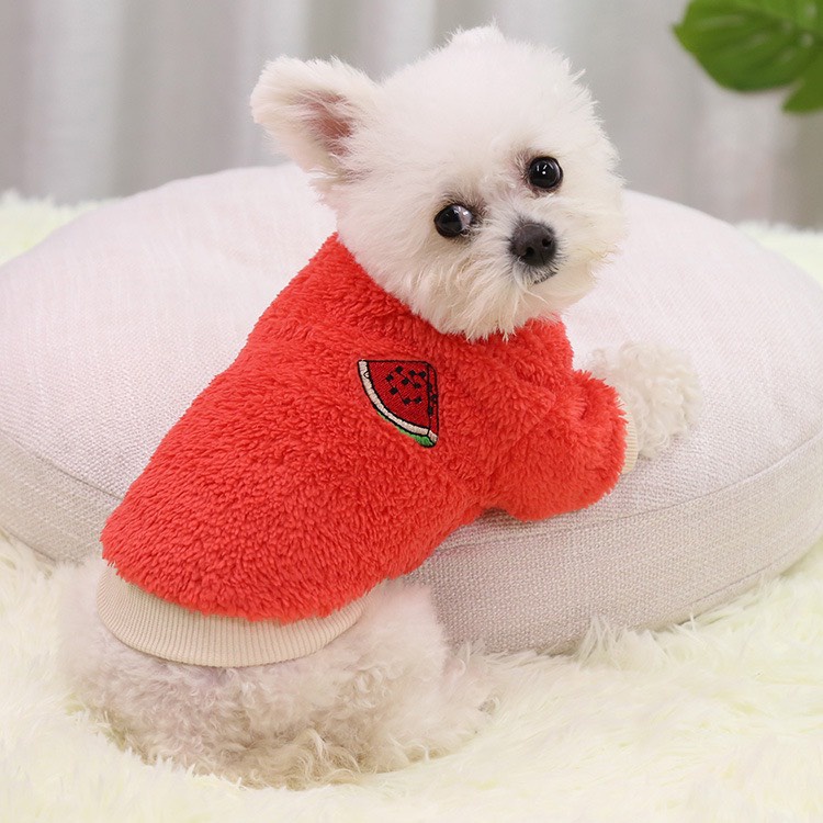 Áo ấm cho chó mèo - Áo sweater thêu họa tiết trái cây hoạt hình giữ ấm mùa đông cho thú cưng