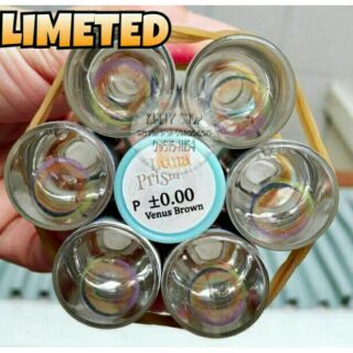 Luna Prism Venus Brown ContactLens