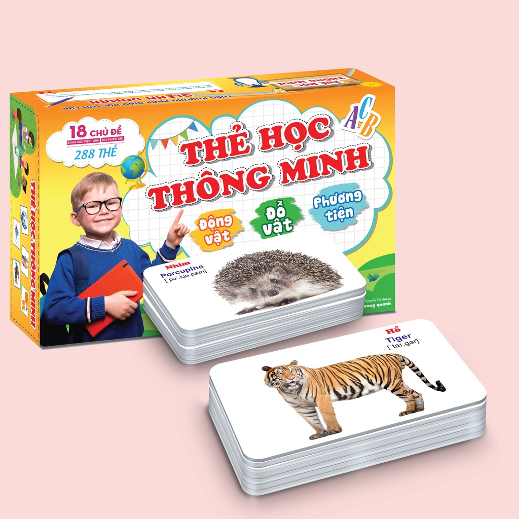 Thẻ học - Bộ Thẻ Học Thông Minh FlashCard Size Lớn - 18 Chủ đề - 288 thẻ -