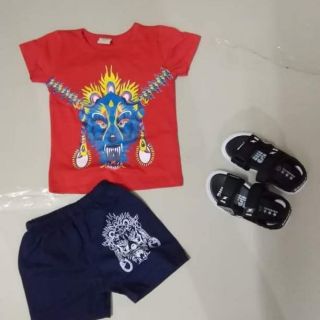 Combo 5b be trai thun cotton 4c in hình tiger