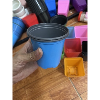 Chậu nhựa tròn miệng 9cm trồng sen đá