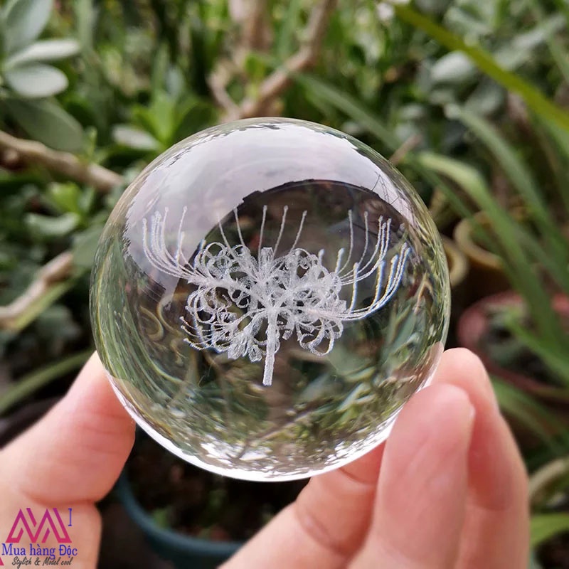 Bộ Quà Tặng Quả Cầu Pha Lê 3D LED hoa bỉ ngạn