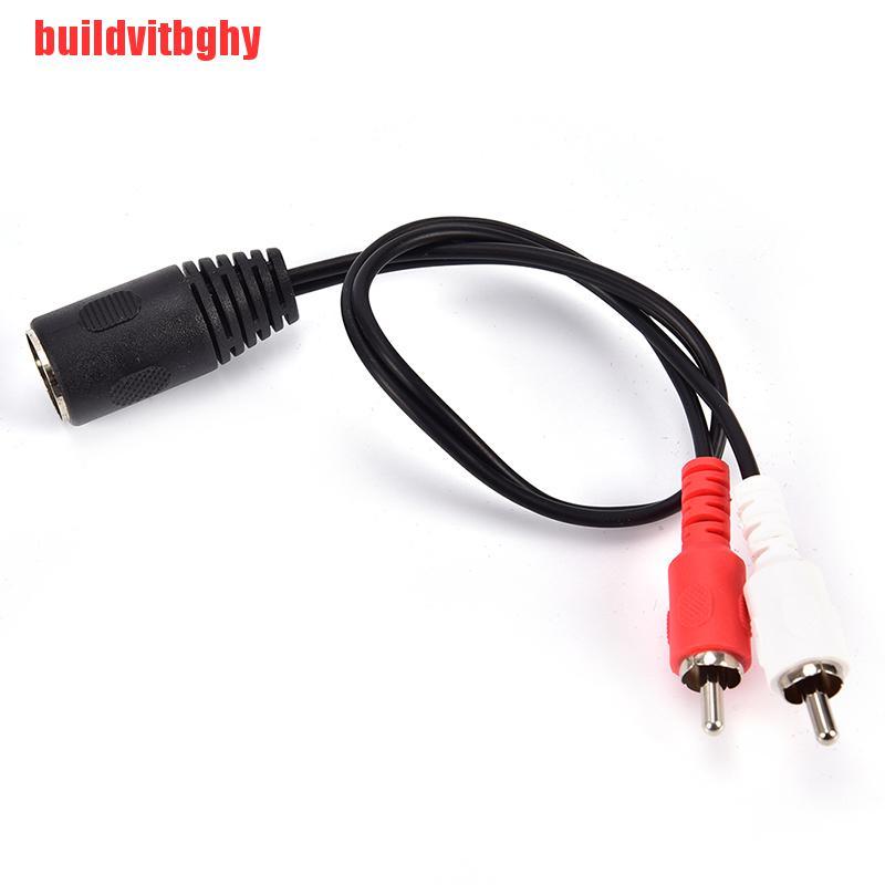 (Mua-Code) Cáp Chuyển Đổi Âm Thanh 5 Pin Din Female Sang 2 X Rca Phono Male Plugs 30cm