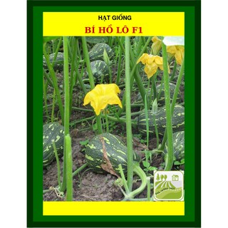 Gói 2gram Hạt Giống Bí Hồ Lô Trang Nông