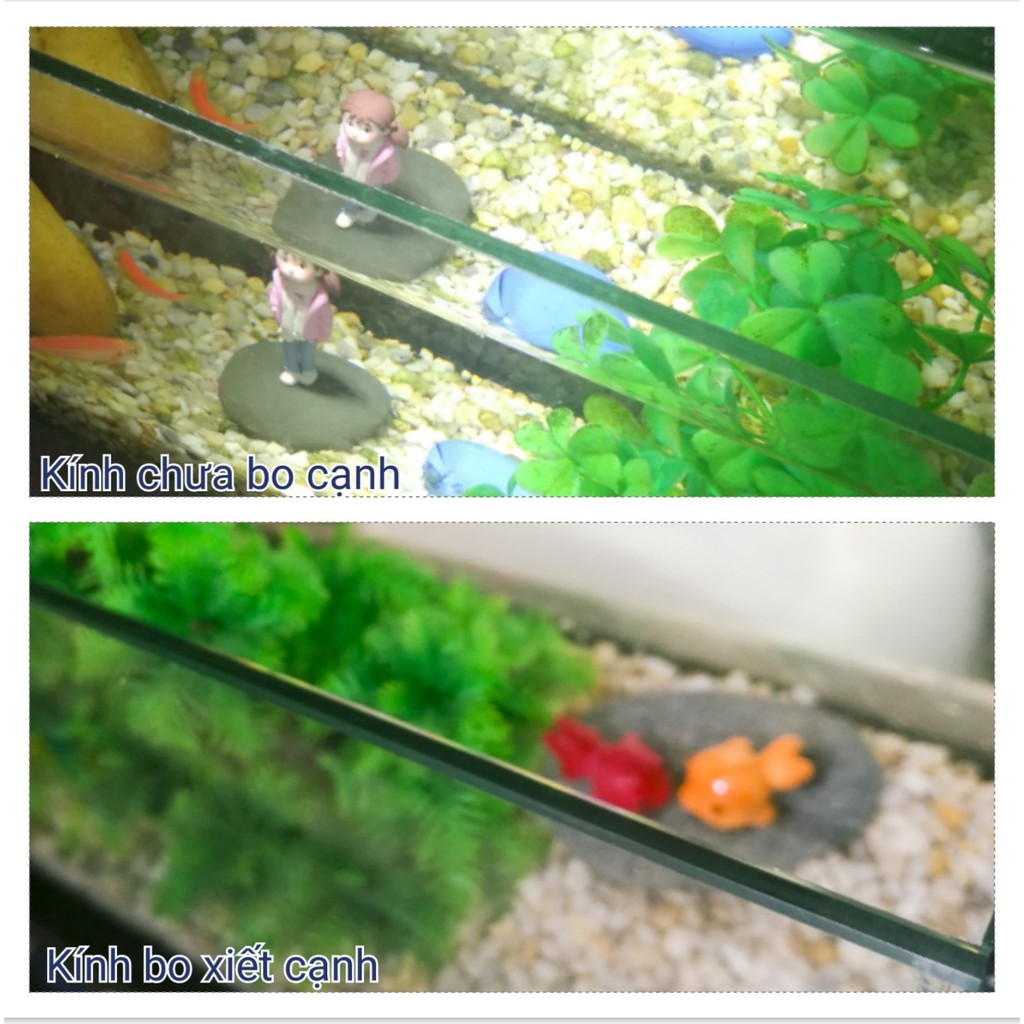 Bể cá mini khung gỗ