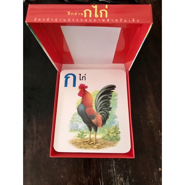Bộ thẻ Flashcard 44 phụ âm tiếng Thái Lan và bộ thẻ ABC kèm từ ví dụ và hình minh hoạ