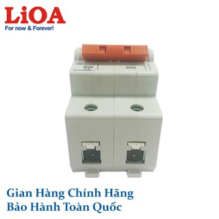 APTOMAT LiOA 2 Cực 100A (MCB2100/4,5 MCB2100/6 MCB2100/10)