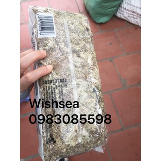 Rêu giữ ẩm (Dớn Trắng) Nhật Trồng hoa lan, Cây Cảnh